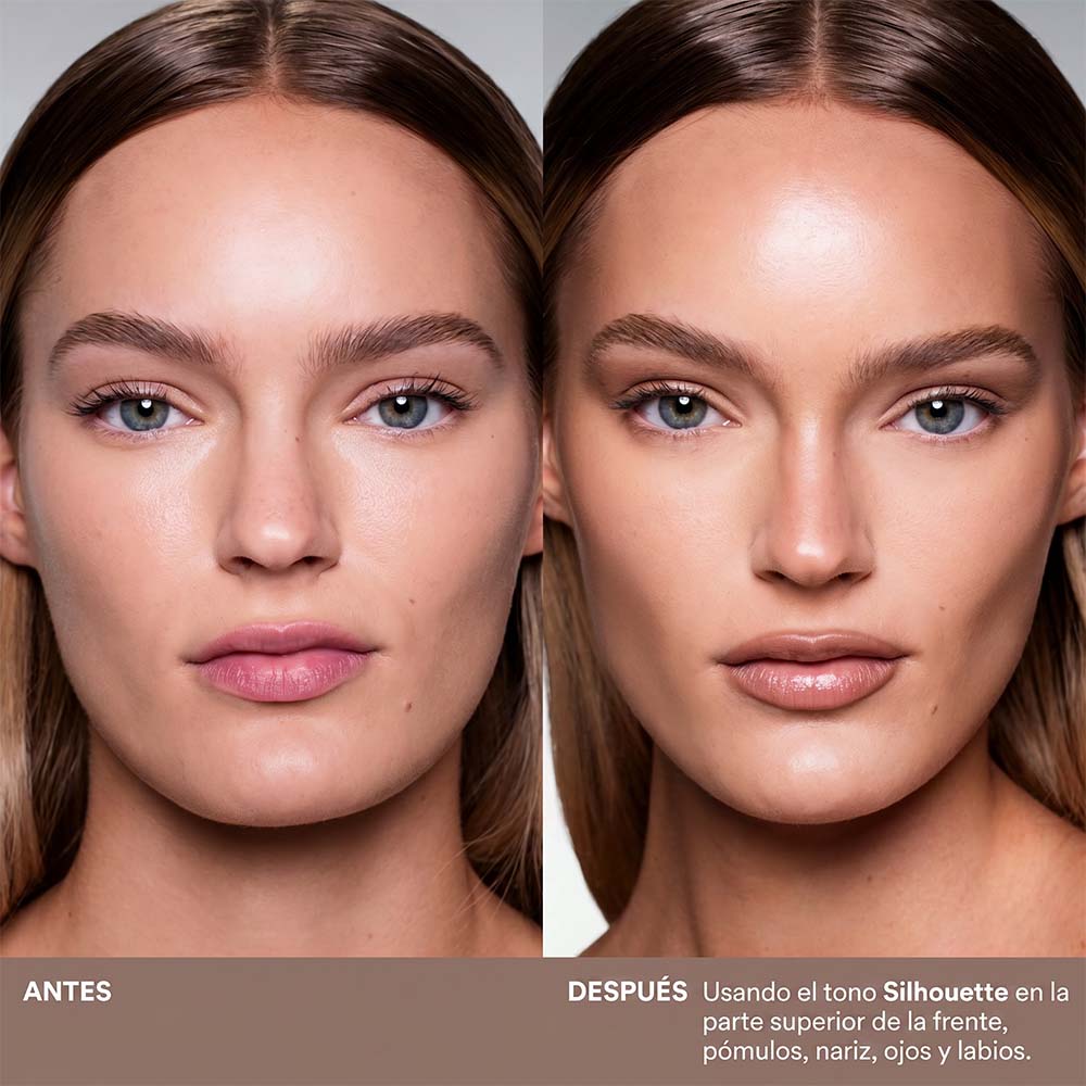 MAJOR SCULPT SHAPE&SHADE ANYWHERE ARTISTRY STICK (CONTORNO EN BARRA)